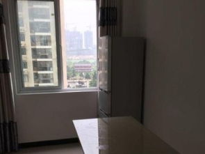 精品兩室一廳首次出租，文化路新中百廣場對面，便捷生活觸手可及