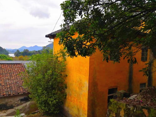 從化流溪河林場旅游區房屋與土地出租信息