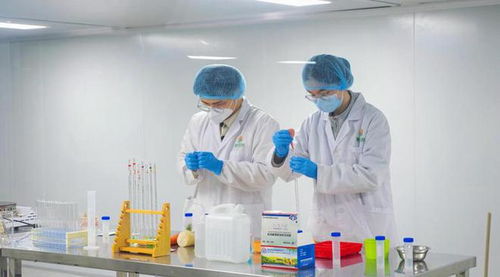 福鼎市福供云廚項(xiàng)目竣工，2023年電子商務(wù)“開門穩(wěn)”啟動(dòng)儀式圓滿成功